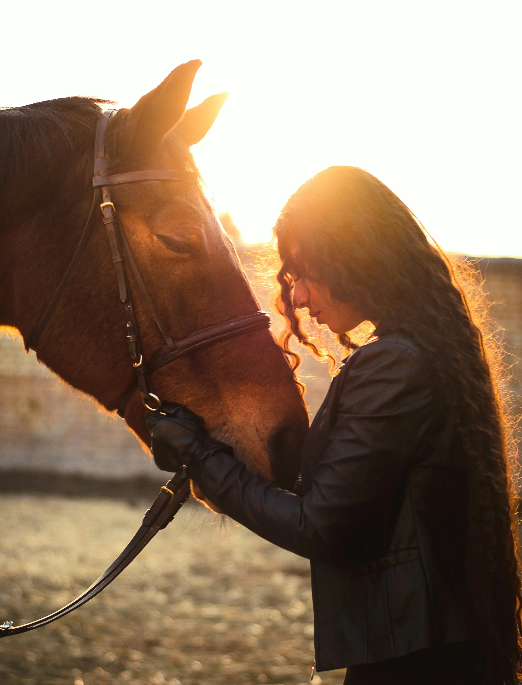Woman with a horse in warm, sun-filled light